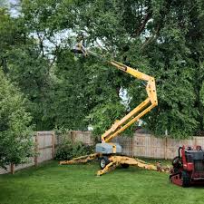 Best Artificial Turf Installation  in Hydro, OK