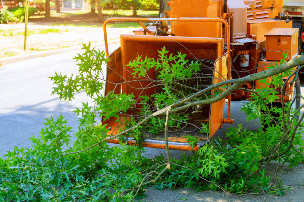 Best Lawn Maintenance Plans  in Hydro, OK